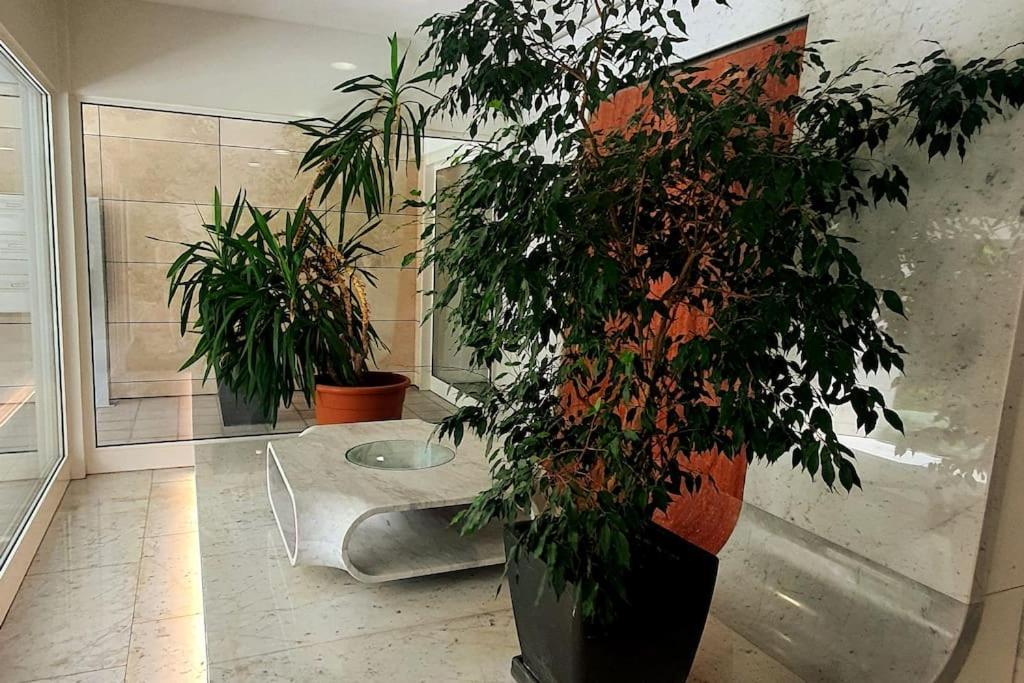 Appartamento Centrale Con Wifi E Posteggio Privato Gratis! Лугано Экстерьер фото
